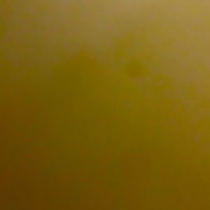 Meet your Posher, Leila